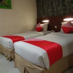 Andi Nurhaldin Halid Ajak Pemuda Maknai HUT RI Ke 74 Dengan Karya