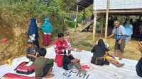 IMG-20211102-WA0000